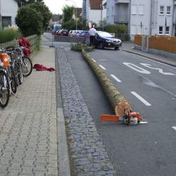 Kerb 2008 in Griesheim: Baumstellen am Donauschwabenhof