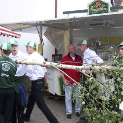 Kerb 2008 in Griesheim: Baumstellen am Donauschwabenhof