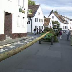 Kerb 2008 in Griesheim: Baumstellen am Donauschwabenhof