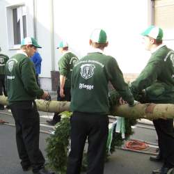 Kerb 2008 in Griesheim: Baumstellen am Donauschwabenhof