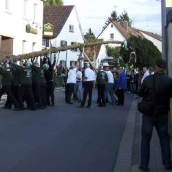 Kerb 2008 in Griesheim: Baumstellen am Donauschwabenhof