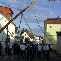 Kerb 2008 in Griesheim: Baumstellen am Donauschwabenhof