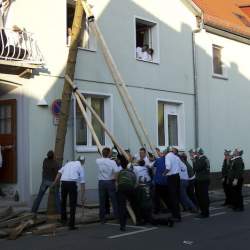 Kerb 2008 in Griesheim: Baumstellen am Donauschwabenhof