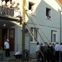 Kerb 2008 in Griesheim: Baumstellen am Donauschwabenhof