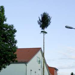 Kerb 2008 in Griesheim: Baumstellen am Donauschwabenhof