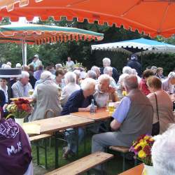 Griesemer Kerb 2008: Umzug durch Griesheim