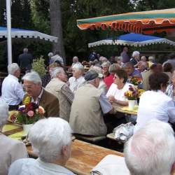 Griesemer Kerb 2008: Umzug durch Griesheim