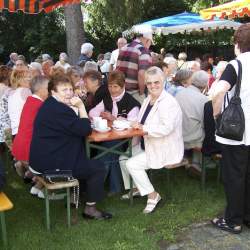 Griesemer Kerb 2008: Umzug durch Griesheim