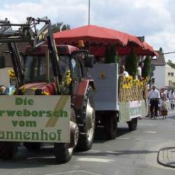 Griesemer Kerb 2008: Umzug durch Griesheim