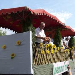 Griesemer Kerb 2008: Umzug durch Griesheim