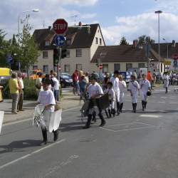 Griesemer Kerb 2008: Umzug durch Griesheim