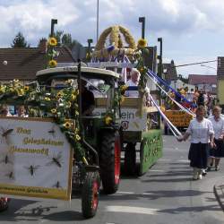 Griesemer Kerb 2008: Umzug durch Griesheim